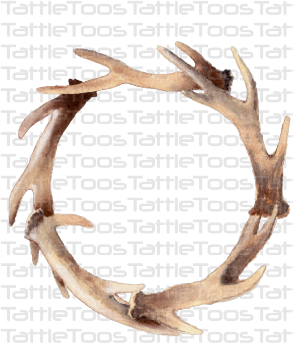 Deer , Png Download Clipart (581x680), Png Download