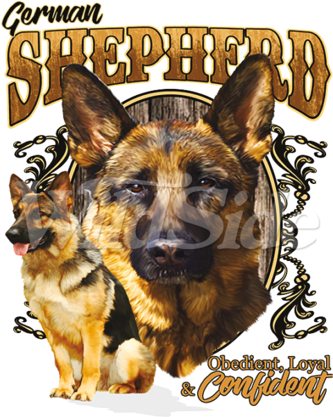 German Shepherd Obedient - Old German Shepherd Dog Clipart (600x600), Png Download