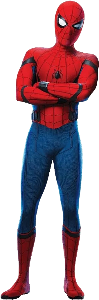 Spider-man Standing Png Picture - Spider Man Homecoming Transparent Clipart (523x1080), Png Download