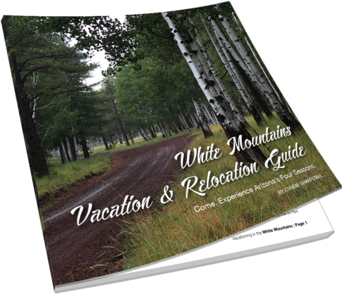 White Mountains Vacation & Relocation Guide - Flyer Clipart (680x680), Png Download