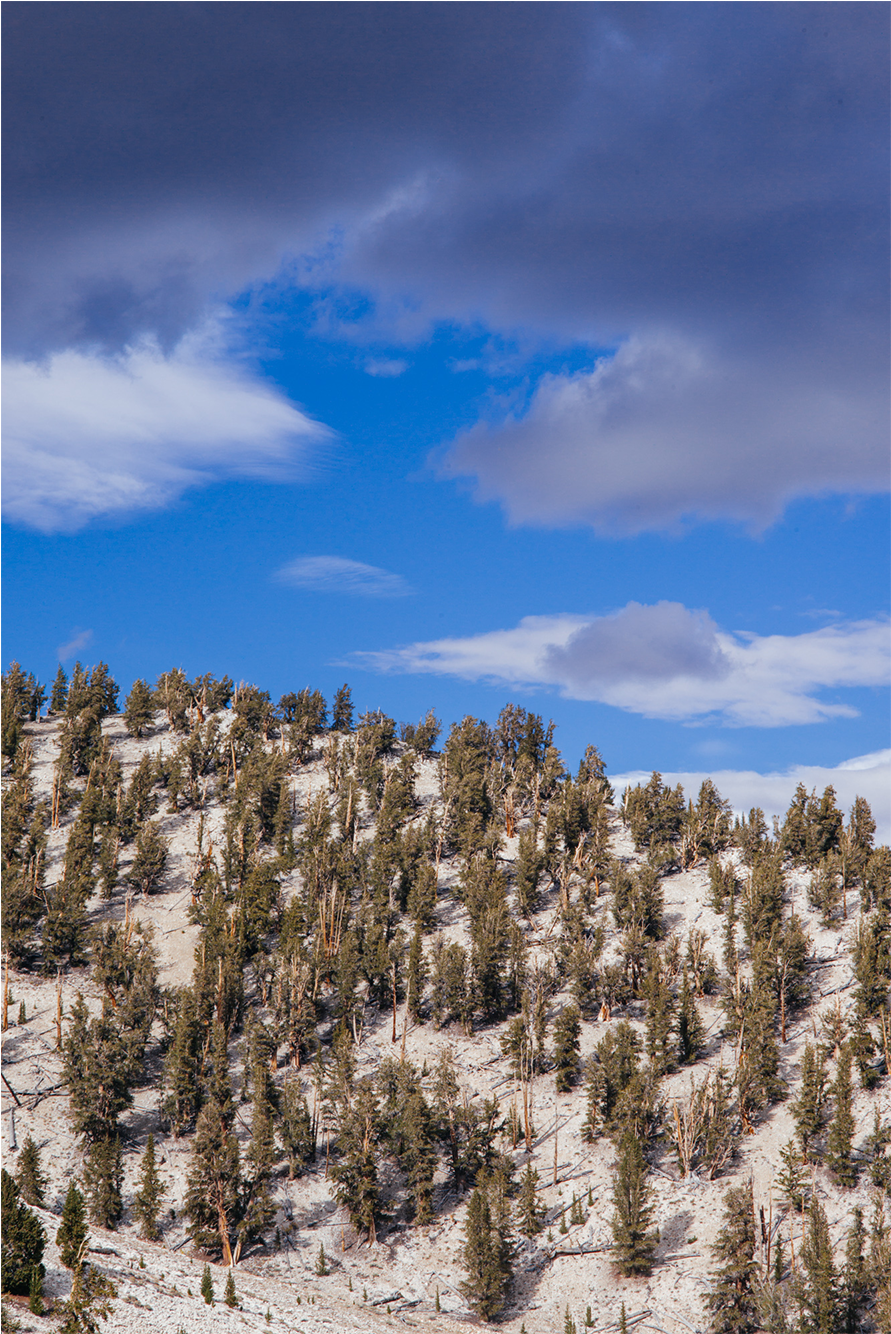 Cycling Up White Mountain Clipart (2000x1333), Png Download