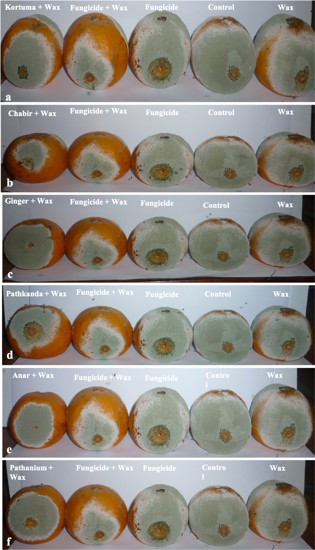 View Larger Version - Cake Clipart (1315x1757), Png Download