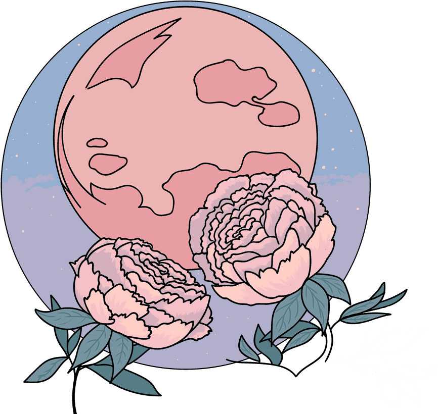 Peony Moon, 2018 Gonna Make A Pin Of This Design I - Garden Roses Clipart (1000x875), Png Download