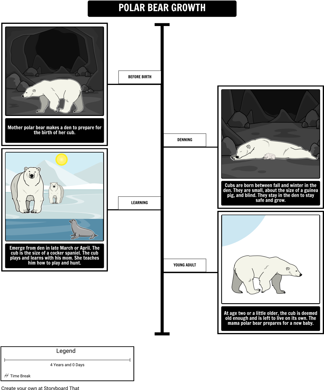 Where Do Polar Bears Live Polar Bear Growth - Polar Bear Life Timeline Clipart (1058x1275), Png Download