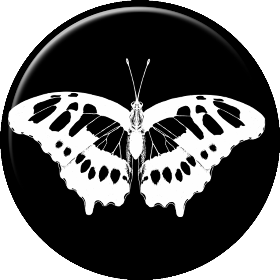 Pb07-01 - Swallowtail Butterfly Clipart (1000x1000), Png Download
