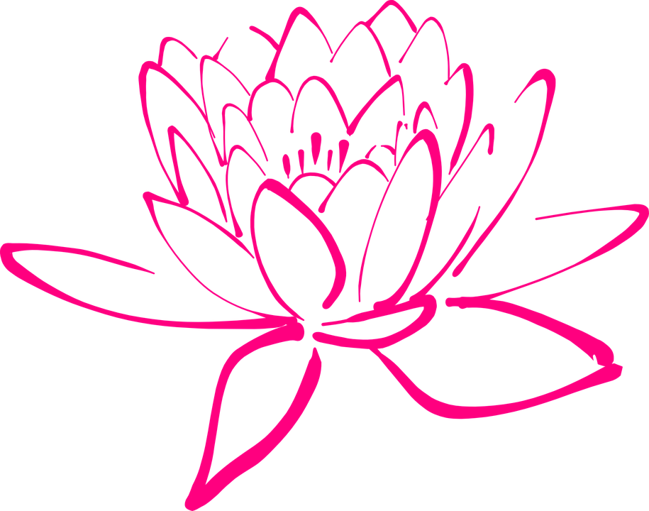 Flower Pink Blossom Pegals Lotus - Clipart Purple Lotus - Png Download (915x720), Png Download
