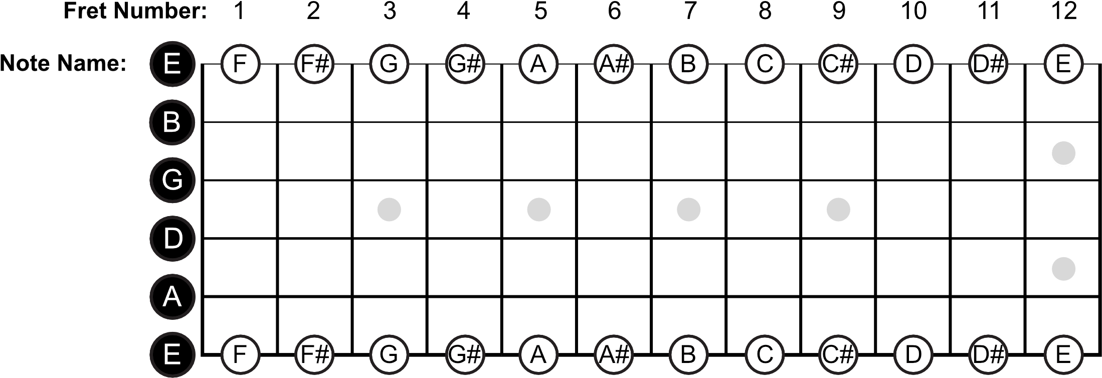 E String Note Names - String Notes Clipart (2400x865), Png Download