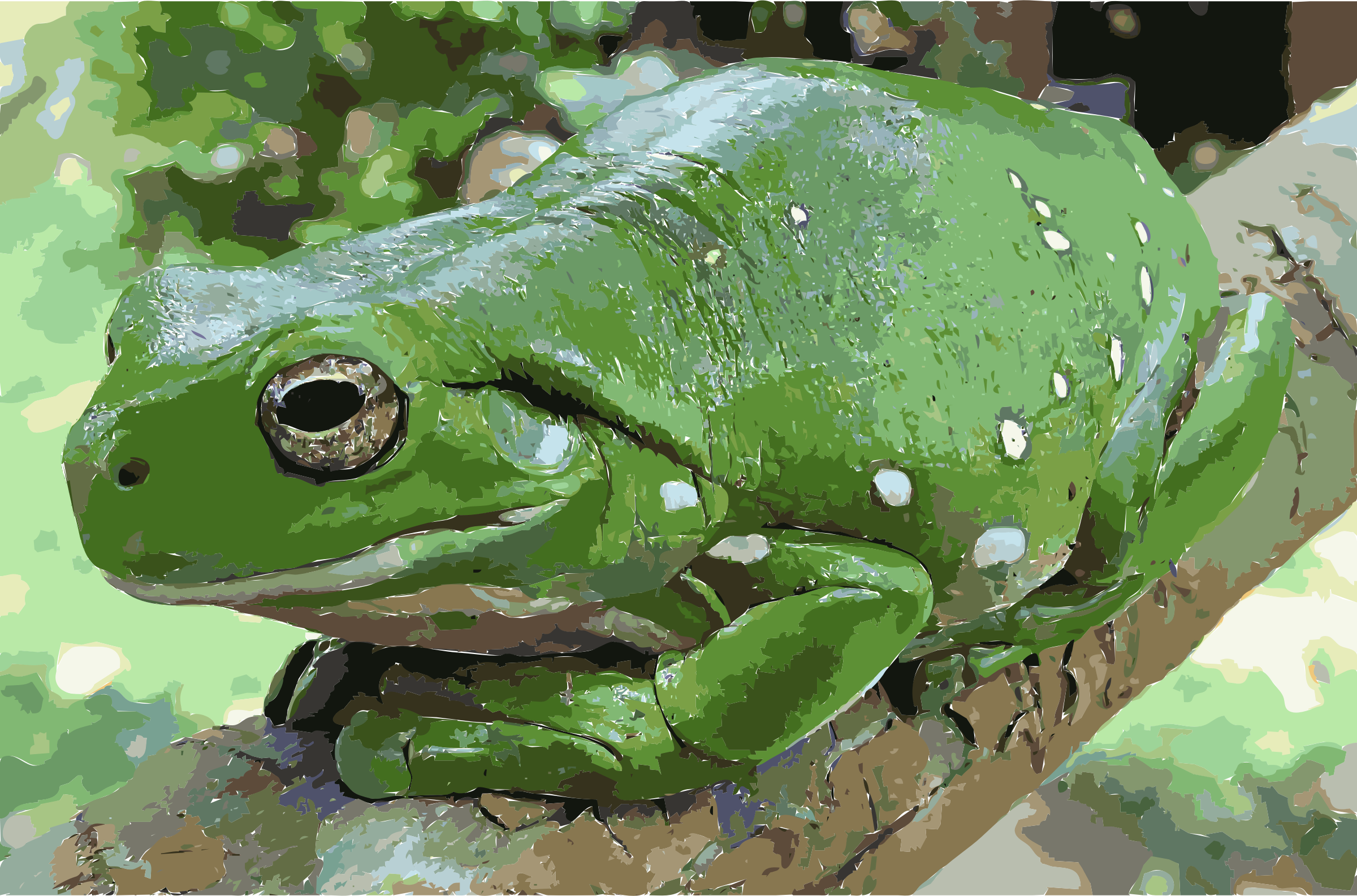 This Free Icons Png Design Of Magnificent Tree Frog - Australian Green Tree Frog Clipart (2400x1585), Png Download