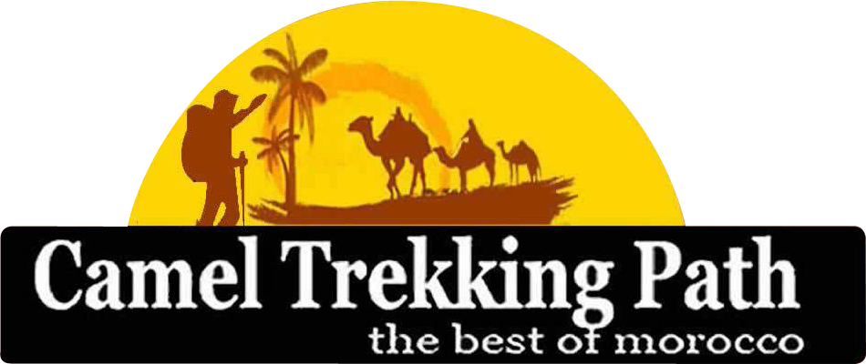 Camel Trekking Path - Silhouette Clipart (950x400), Png Download