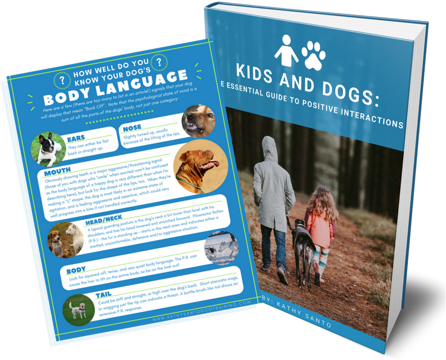 Kids And Dogs - Flyer Clipart (940x788), Png Download