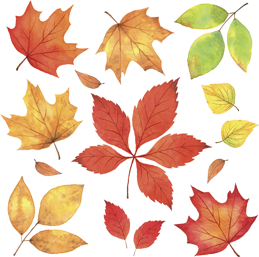 Png Autumn Leaves Falling - Autumn Clipart (945x906), Png Download
