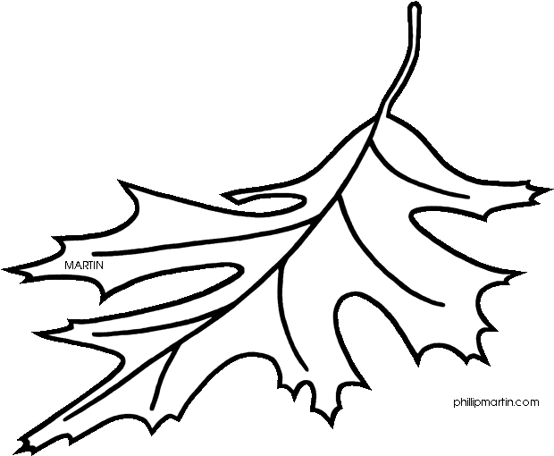 Red Oak Tree Leaves Clipart - Coloring New Jersey State Tree - Png Download (620x510), Png Download