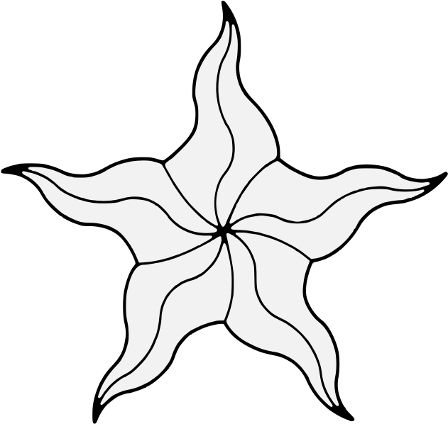 Award Of The Sea Star Of Østgarðr - Line Art Clipart (702x702), Png Download