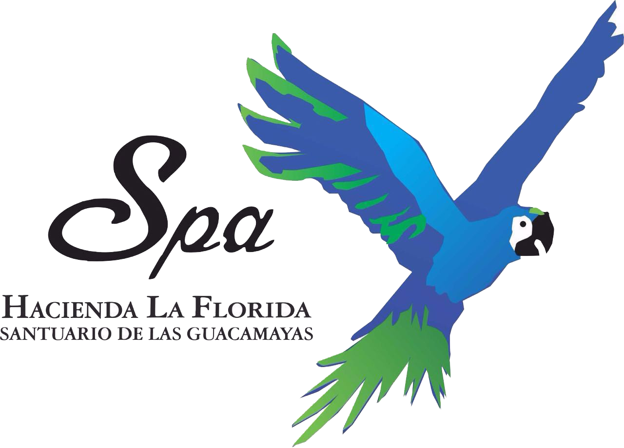 ☰ - Spa Hacienda La Florida Clipart (1280x919), Png Download