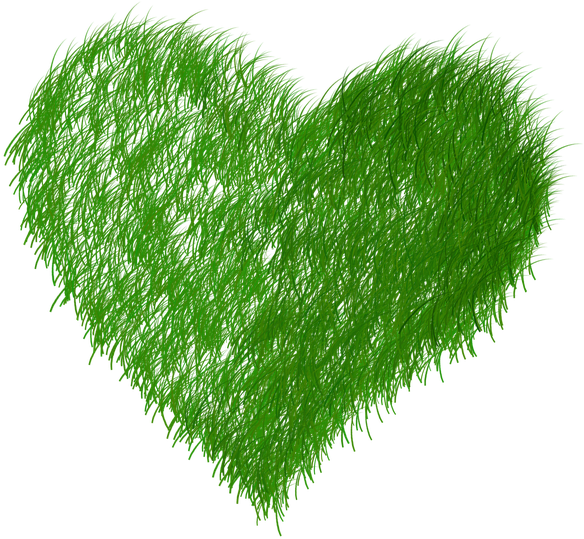 Echo, Ecology, Green, Grass, Prato - Экология Пнг Clipart (720x720), Png Download