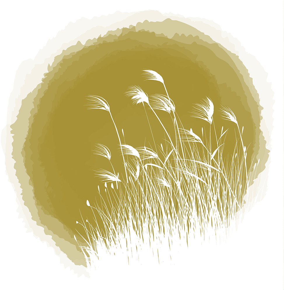 Ryton Gardens In Autumn - Illustration Clipart (1000x995), Png Download