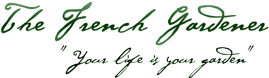 Logo - Calligraphy Clipart (978x322), Png Download