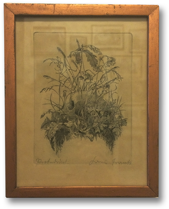 Overgrown Skull Freisteller Web - Picture Frame Clipart (600x745), Png Download