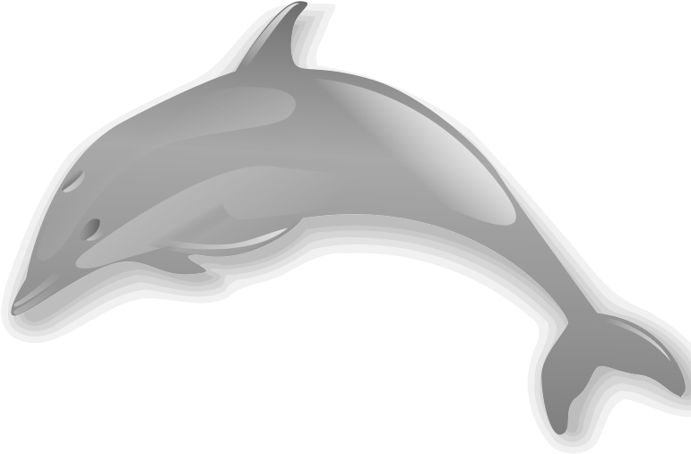 Dolphin Enrique Meza C 02 Clip Art Download - Dolphins Animal No Background - Png Download (800x800), Png Download