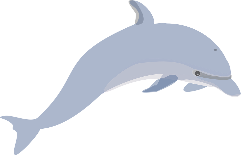 Go To Image - Jumping Dolphin Clip Art - Png Download (960x617), Png Download