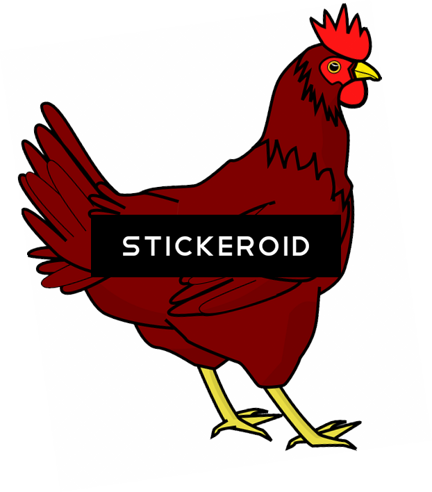 鸡png透明图像 鸡 Chicken Clip Art , Png Download - Hen Png Clip Art Transparent Png (622x708), Png Download