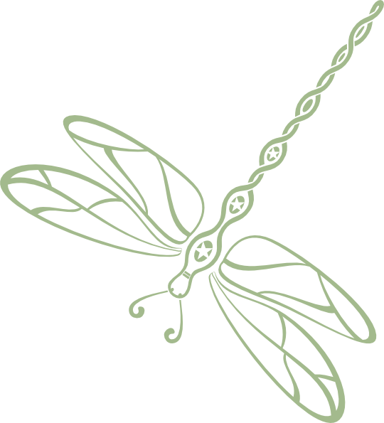 Dragonfly Clip Art - Clip Art - Png Download (540x595), Png Download