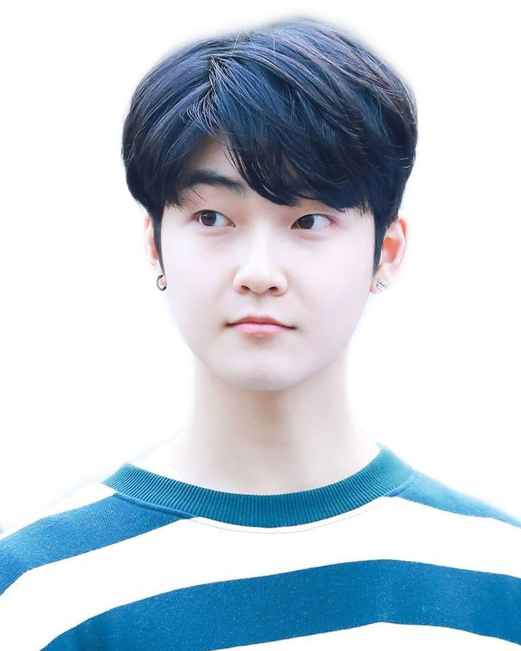 Kevin Sticker - Kevin The Boyz Stickers Clipart (735x919), Png Download