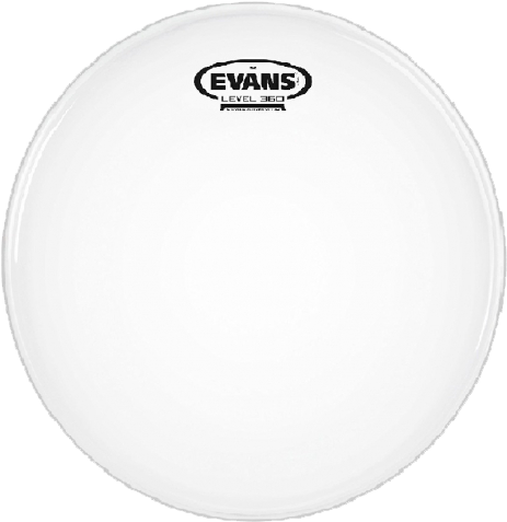 Geovoice - Evans Drum Heads Clipart (800x800), Png Download