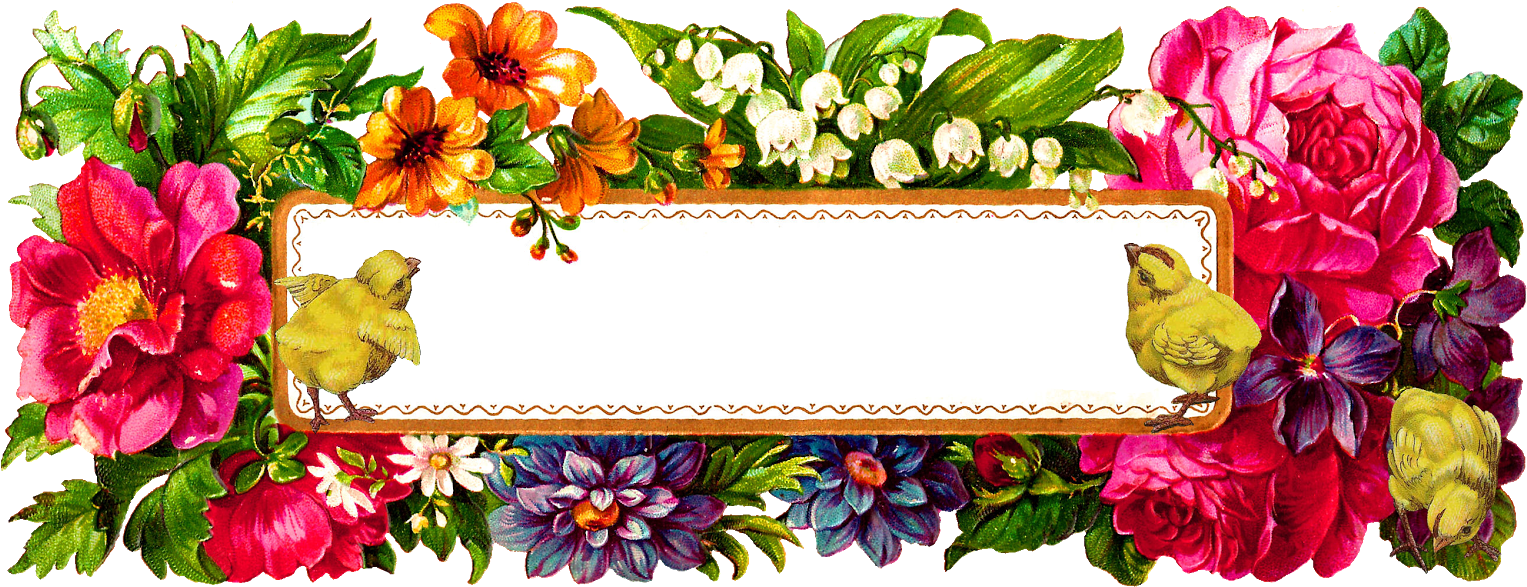 Easter Chicks Flower Label Digital Image - Flower Photo Frame Design Png Clipart (1600x670), Png Download