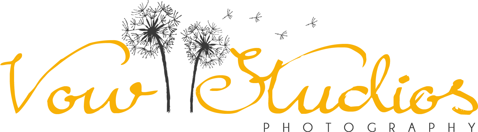 Clip Art - Png Download (1603x482), Png Download