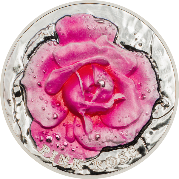 5570 Грн - Circle Clipart (600x600), Png Download