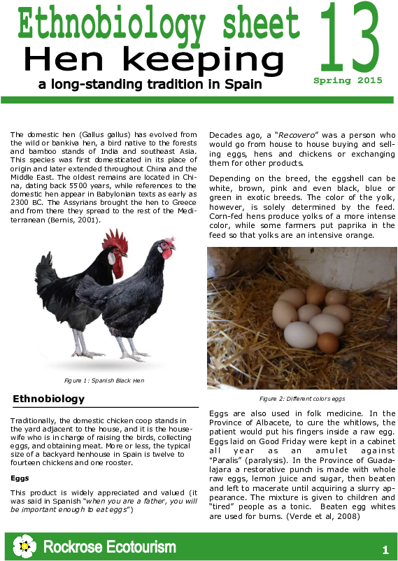 Love Clipart (595x842), Png Download