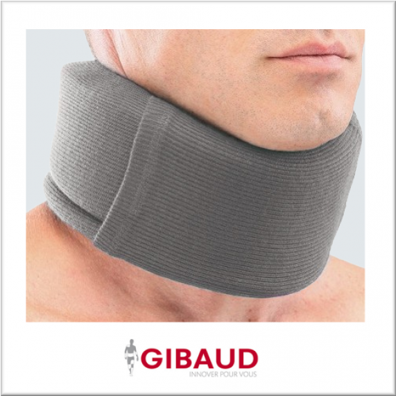 Gibaud Clipart (570x741), Png Download