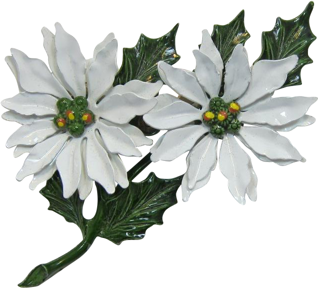 Double White Poinsettia Christmas Brooch - African Daisy Clipart (634x634), Png Download