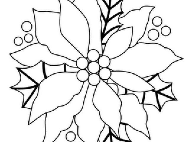 Poinsettia Clipart Black And White - Flores Bonitas Para Colorear - Png Download (640x480), Png Download