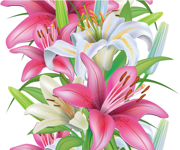 Stargazer Lily Cliparts - Clip Art - Png Download (640x480), Png Download