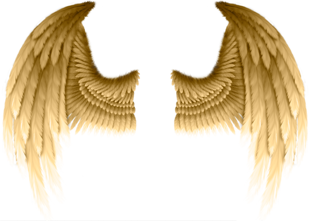 Angel Gold Wings Transparent Clipart (1024x738), Png Download