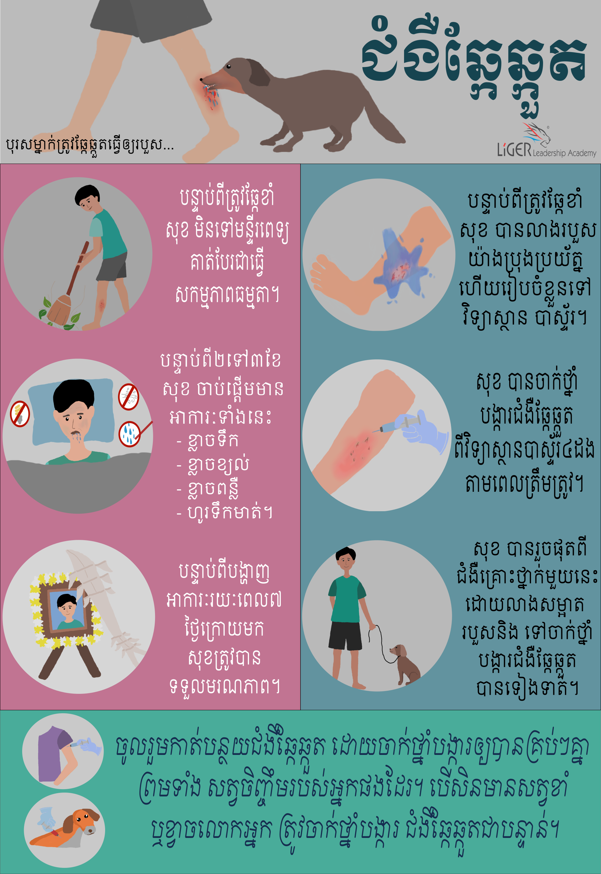 The Educational Poster About The Treatments For Your - Kangaroo Clipart (1950x2833), Png Download