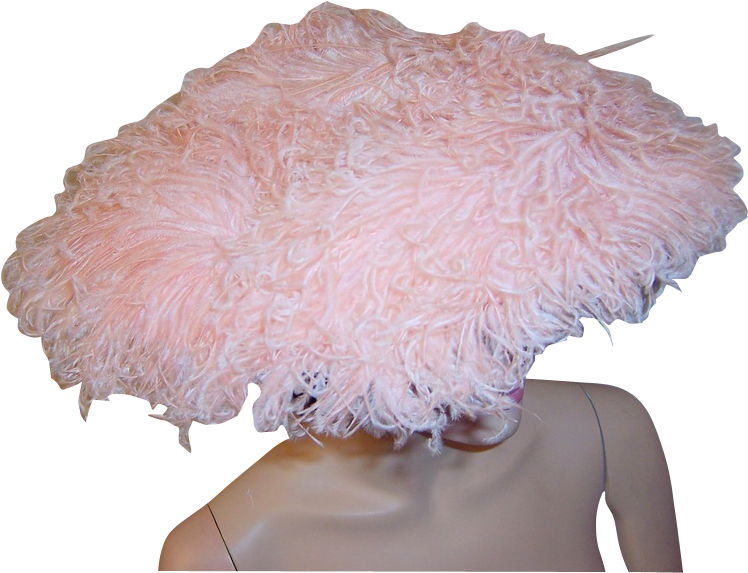 This Is A Wonderful, 1950's Vintage, Saucer-shaped - Lace Wig Clipart (747x747), Png Download