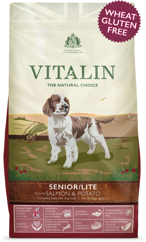 Senior Dog Food - Dog Food Clipart (600x800), Png Download