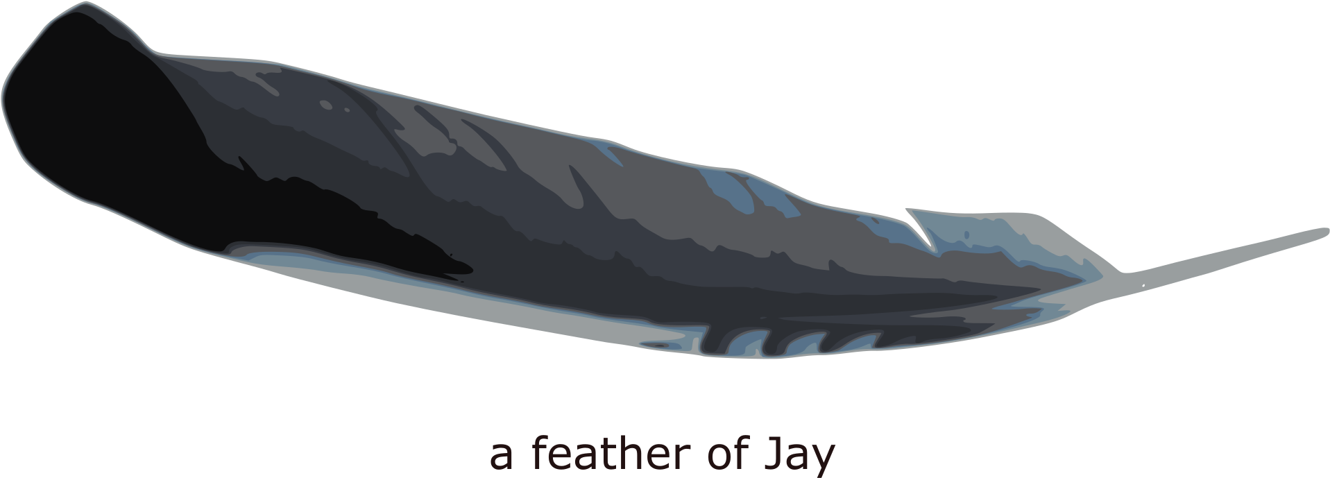 This Free Icons Png Design Of Feather Of Jay - Illustration Clipart (2400x800), Png Download