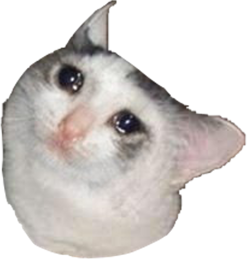 0 Result Images of Sad Cat Meme Png - PNG Image Collection