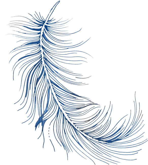 Feather .png Clipart (613x764), Png Download