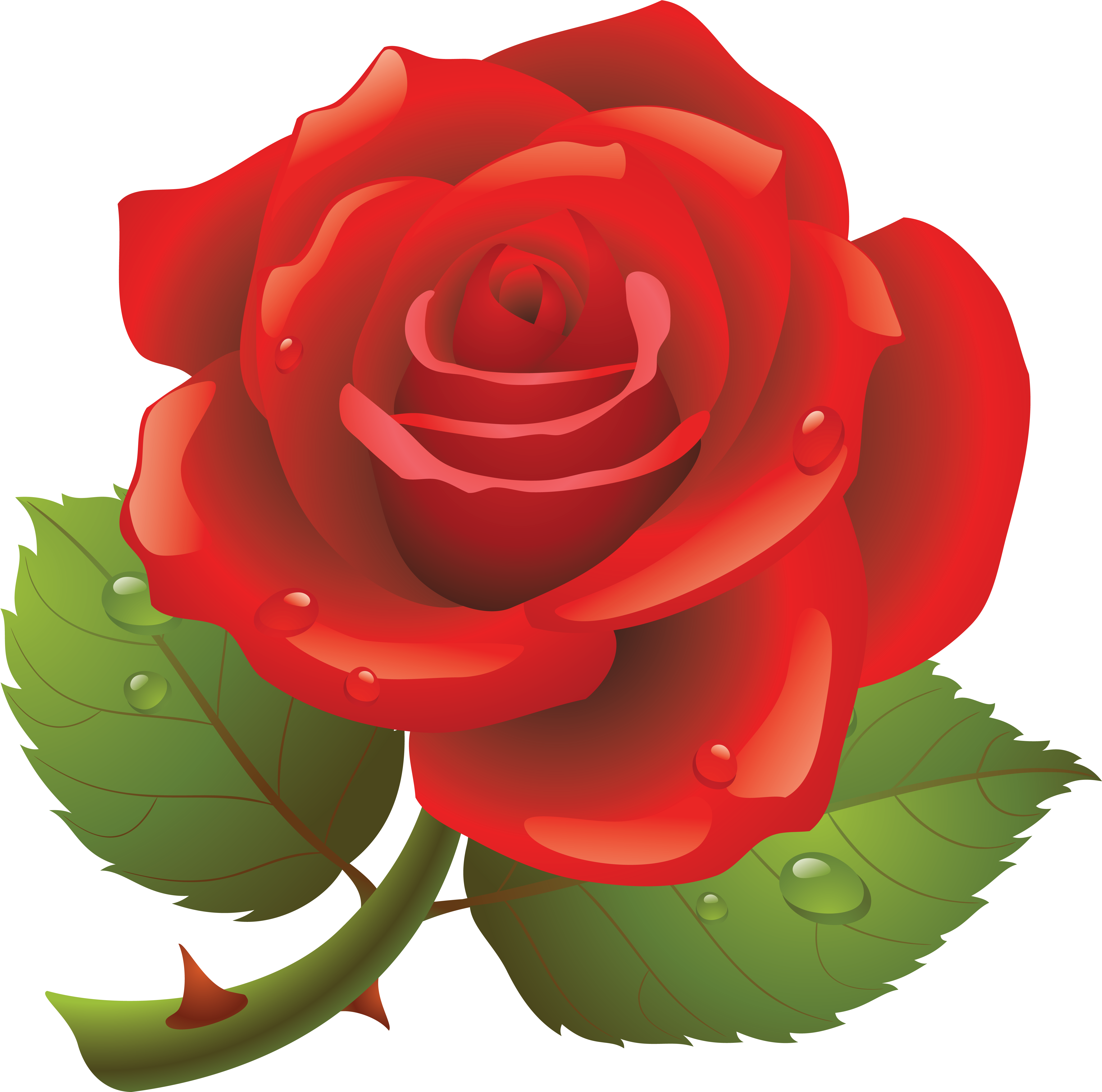 Rose Clipart Transparent Background - Red Rose Day Images Download - Png Download (5293x5218), Png Download