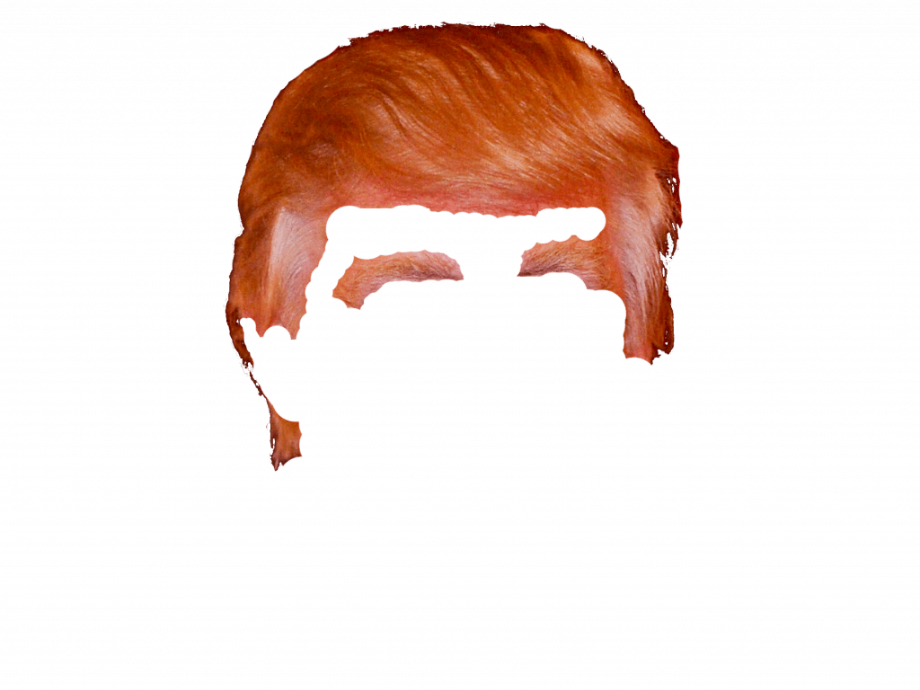 Trump Hair Transparent Background Clipart (1024x768), Png Download