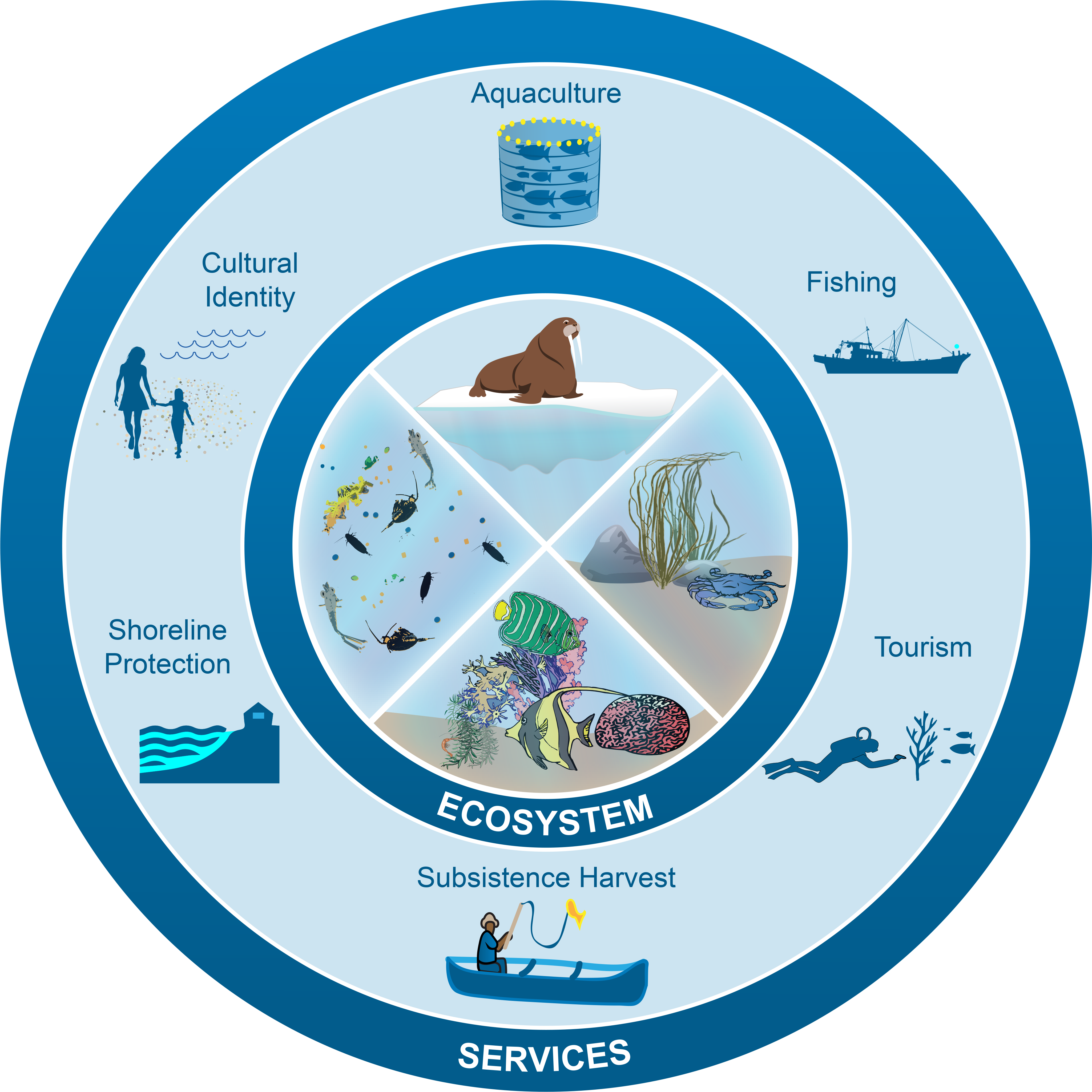 Figure - Circle Clipart (4096x4112), Png Download