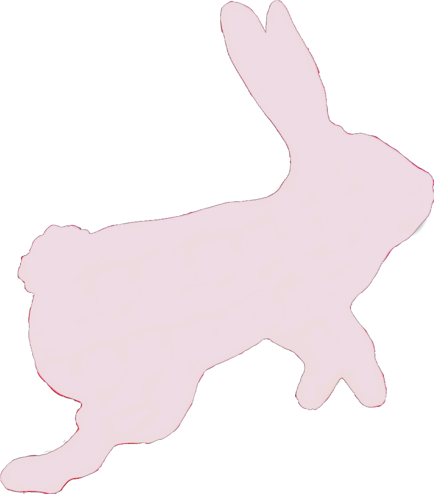 #rabbit #bunny #hare #pink #sticker #hop #hopping #jump - Domestic Rabbit Clipart (885x1008), Png Download