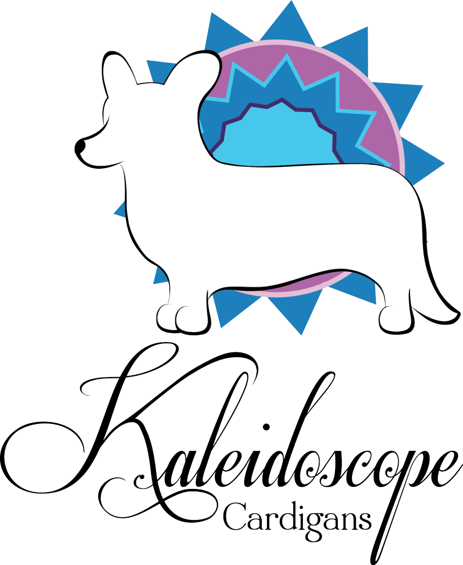 Logo3 - Dog Clipart (914x1114), Png Download