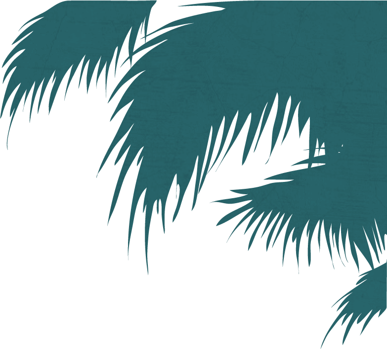 Cocktail Classes Desktop Stamp - Attalea Speciosa Clipart (783x706), Png Download