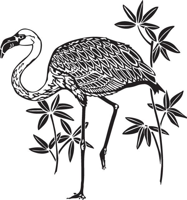 00108 - Emu Clipart (600x643), Png Download